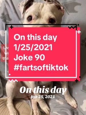 #onthisday Dixie Jokes part 90. #dixiejeauxbelle #dogsoftiktok #fartsoftiktok 