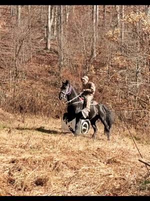 They may need to watch a few more barrel racing videos. I don't think that's right 🤔😂 #blessed #over60style #barnlife #horses #standardbredsoftiktok #appalachia 