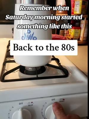 Just a little nostalgic trip for this weekend. It's really amazing how some of the simplest things can unlock so many memories. We all have those awesome Saturday memories. I would love to hear yours!!! #goodvibes #oldschool #1980s #throwback #1980saesthetic #wayback #vintage #oldtimes #awesome80s #takemeback #corningware #chickens #fyp 