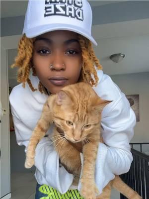 🌞gmorning gangerrsss 😈🫶🏾 #morning #sayitback #dejmonae #fypシ #foryou #wlw #orangecat #orangecatsoftiktok #orangecatbehavior #orangecats 