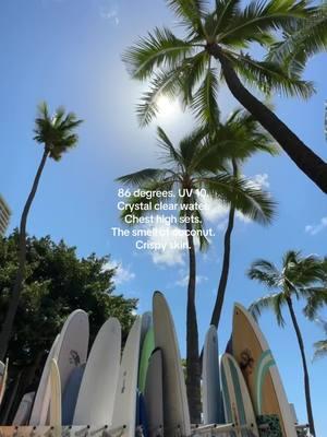 Favorite way to spend January🫶🏼🏄🏽‍♀️ Where should I surf next month?! ✈️ #hawaii #hawaiilife #hawaiitraveltips #visithawaii #waikiki #northshoreoahu #surfing #girlswhosurf 