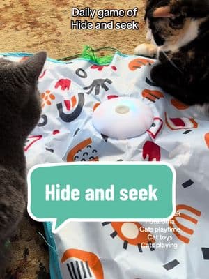 April is supervising. Willow doesn’t want it to get away. #cattoys #catsplaying #catsoftiktok #kitties #hideandseek #potaroma 