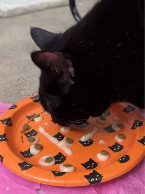 Watch me enjoy my birthday treat! 😋🧁 Meowmy made me a special snack! She used a squeezy treat to write 13 (since I turned 13) and make some dots, and then she stuck pieces of kibble on those dots. And she served it to me on a Halloween plate because I'm a Halloween cat! 🎃🐈‍⬛ #mannyslucky13 #catbirthday #catbirthdayparty #birthdaycat #birthdaytreat #happycat #hungrycat 