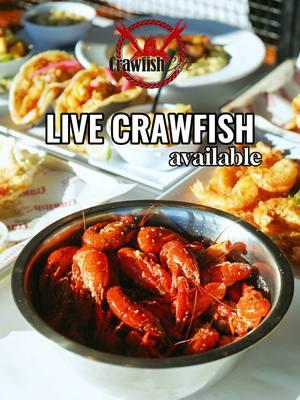 It’s crawfish season and you know what that means — Crawfish Cafe has live, jumbo-sized crawfish ready just for YOU! 🦞😄 come by any of our locations today and get your first live crawfish of the season! ✨🦞 - 🚙 Open for dine in, takeout, online orders, and delivery 🍽️ Book your catering with us — head to our website! 📍Bellaire: 11209 Bellaire Blvd. Houston, TX 77072 📍Heights: 1026 N. Shepherd Dr. Houston, TX 77008 📍Cypress: 24330 US 290, Ste 500 Cypress, TX 77439 📍Shenandoah: 8850 Metropark Dr. Ste 100 Shenandoah, TX 77385 📍Pearland coming soon! #explore #explorepage #trending #houston #htx #houstontx #houstonplacestoeat #houstonplacestogo #houstonseafood #houstonpastalovers #houstoncajunfood #houstoncajunrestaurant #houstoncajunrestaurant #houstonseafoodrestaurants #houstoncrawfishboil #houstoncrawfish #houstoncrawfishreview #houstoncrawfishspot #crawfishrestaurant #crawfishlover #seafoodboil #houstonseafoodrestaurants #houstonseafoodboil #houstonlivecrawfish #livecrawfishhouston #vietcajuncrawfish #vietcajunstyle #vietcajunboil 