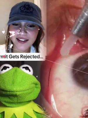 Kermit Gets Rejected Credit Maxamili #kermitthefrog #kermit #kermitontiktok #rizz #rizzgod #pickupline #funnyvideos #viral #tiktokuni #fypシ゚viral #pov #foryoupage #fypツ 😌 