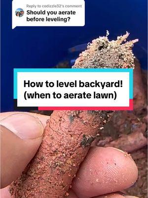 Replying to @codizzle32 should you aerate your yard before you level your lawn? Here’s my take. If this helps, hit that follow button! If you want more access, hit subscribe #lawncare #lawnmaintenance #lawn #gardening #diylawncare 