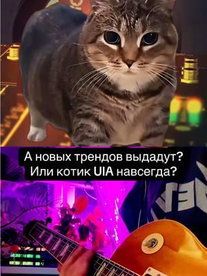 #дуэт с @Oia Oia Cat #Trending #cats #catsmeme #guitarist #edit #spinningcat #linkinpark 