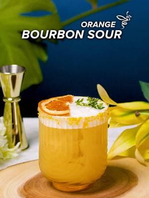 ORANGE BOURBON SOUR 🍊 Full Recipe linked In Bio.  #Bourbon #WhiskeySour #CocktailRecipes #WhiskeyCocktails #BourbonCocktails #Sours #Mixology #CocktailRecipe #Drinks #DrinksRecipes #EasyDrinks #EasyRecipes