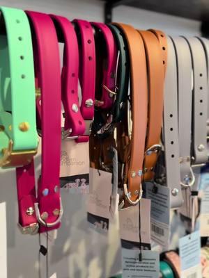 Durable, waterproof, and completely customizable, these Biothane pet collars are a game-changer for your pets. Choose your favorite color, hardware finish, width, and buckle style (quick release or standard). Add a personalized nameplate or engraving with your pet's information. Pair it with a matching slip lead, standard leash, or hands-free leash, all designed to be just as customizable and reliable. By purchasing, you’re supporting not just one, but two small businesses who take pride in creating quality products for pet parents like you. #PetParents #CustomPetGear #SmallBusinessSupport #PetAccessories #BiothaneCollars #DurableDogGear #WaterproofCollars #CustomPetCollars #ShopSmallPets #PetTok 