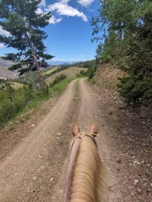 and in just a few months we'll have views like this again  #horsetok #mountainlife #rural #rurallife #country #countrylife #mountainview #backcountry #horsesoftiktok 