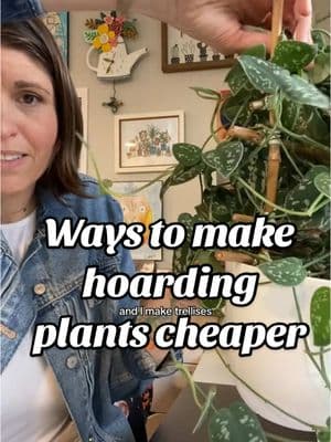 This seems timely. #onthisday #plants #plantcollector #plantcollection #expensivehobby #PlantTok #plantadvice #plantconsultant #plantlady #plantcare #hobbies #DIY #budgetfriendly #cheap 