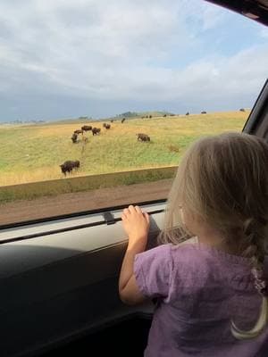 raising a future generation who will love and protect nature is one the greatest reaponsibility for me as a parent 🌻🌲☀️ . . . #momlife #motherhood #motherhoodoutside #getoutside #lovetheoutdoors #outdoorsymom #outdoorsyfamily #protectnature #mothernature 