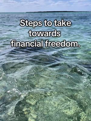 Financial freedom steps. #finance #money #financialfreedom #moneytips #accounts #roth #hsa #401k  #ira #saving #investing #fyp #foryou #fyppppppppppppppppppppppp 