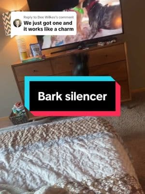 Replying to @Dee Wilkes great way to teach your dogs to behave #dog #dogsoftiktok #dogsoftiktokviral #dogs #dogmom #dogmomlife #womenover40 #womenover50 #bark #TikTokShop #tiktokmademebuyit #tiktokmarketplace 