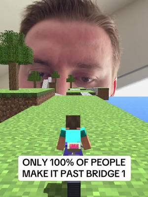 It’s so hard! #minecraftbridge #filtergames 