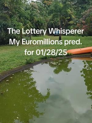 my Euromillions lottery prediction for 01/28/25#Euromillions #Megamillions #Powerball #vegas 