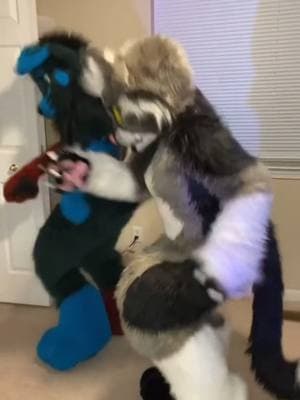 My tail bounces hiding in the background🤭🤭 @:>  #furryartist #furrytiktok #furryfandom #furry #furryart #fursuitmaker #fursuiter #fursuit #fursuitdance 