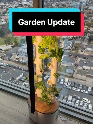 #stitch with @Carterpcs $700 indoor garden 1.5 month update #carterpcs #tech #techtok #techfacts #gardyn #garden 