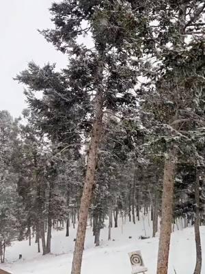 #mountainlife #snowday #peaceful #itnevergetsold #loveithere #myhappyplace #snowlovers #snow #snowtoks #snowtiktok #coloradotok #Coloradoliving #coloradotiktok #rockymountains 