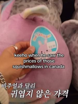 i can say i never purchased a squishmallow in my entire life 🙂‍↕️ #p1harmony #p1h #piwon #p1ece #keeho #yoonkeeho #keehop1harmony #p1ecefyp 