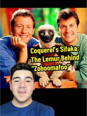 Who pulls off blue better, me or Martin? 🔵 @The Kratt Brothers #greenscreen #fyp #zoology #zoboomafoo #sifaka #lemurs #ripjovian 