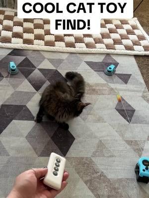 This interactive cat toy is so fun and the perfect fit for all cats 😺 #cat #catsoftiktok #cattok #cattoys #cattoy #interactivecattoy #cattoyreview #kittentoys #catenrichment #toysforcats #tiktokshopfinds #spotlightfinds #tiktokshopjumpstartsale #fyp 