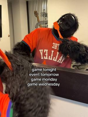 it’s a grind 😤 #party #event #TheGorilla #basketball #phoenixsuns #Go #mascot #sportstiktok #NBA 