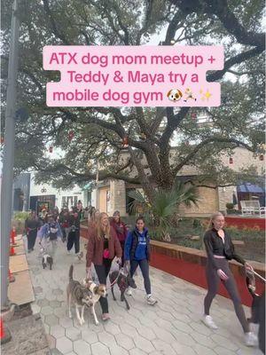 ATX dog mom meetup + Teddy & Maya try a mobile dog gym 🐶🏃✨ #dogmom #atxdogmom #lifewithdogs #runbuddy #runbuddymobile #dogtreadmill #mobiledoggym #dogwalking #dogfriendlyaustin #shakeshack 