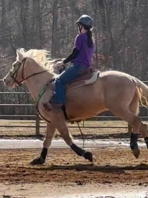 first cruise through where he feels good in months!! #DudeThePalomino #AwesomeWave #horse #barrelracer #barrelracing #viral #fyp #foryoupage #abcxyz #xyzbca #palomino 