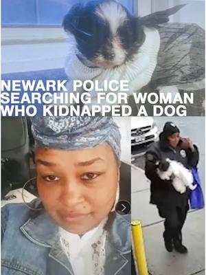 Dog stolen from a front yard in Newark. The owner and kidnapper are now texting. The kidnapper won’t give the dog back. This story is crazy!  #newjersey #njnews #nj #newark #newarknj #essexcountynj #centraljersey #northjersey #dogsoftiktok 