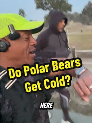 Do Polar Bears Get Cold? A chilly 10 mile run. #Running #FitnessLifestyle #fitnessmotivation #weightvest #over50 