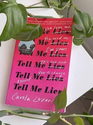 unpopular, but maybe popular opinion: the show was better. I mean… addictive. 🙈 #tellmelies #tellmelieshulu #tellmeliesseason2 #tellmeliesfinale #BookTok #booktoker #booktokfyp #stephendemarco #lucyalbright 