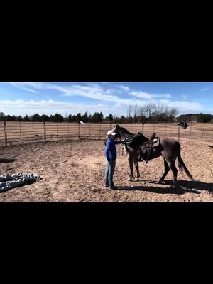 First Ride 🤠 #fyp #horsesoftiktok #firstride #groundwork #mare #dashforcash #roundpenwork 