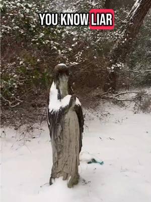 Spirit called me a lier! #florida #spooky #fyp #snow #floridasnow #paranormal #haunted #creppy #spirit #ghost #scary #horror #graveyard #graveyardwandering #vox #spirittalker #live #onthisday 