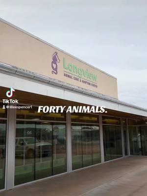 FORTY ANIMALS, YALL!!!! Forty animals now have their very own familes - I AM IN TEARS!!!! 🐶🫶🏼🐾🖤 I cant thank @Dylan Brown with @ALLNONEMOVING in Hallsville Tx enough for having such a huge HEART in making a difference in his community, he has truly changed each of these animals & families lives for the better!!!!! I AM SO PROUD TO CALL YOU MINE!!! 🖤🐶 If you arent at a place to adopt an animal, that is OKAY there are still soooooo many various ways to help make a diffenece. HAPPY TAILS PUPS!   xoxo Lil🎀🫶🏼  #adoptdontshop #lacac #longviewanimalcareandadoptioncenter #fyp #foryoupage #foryoupage #fypシ #fypシ゚viral #animaladvocate #animalsoftiktok #dogsoftiktok #animaladoptions #adoption #animalshelter #localcompany #allnonemoving #movingcompany #movers #movinglivesforward #animallover #dogs #sponsor #movingcompany #adoptdontshop #Love #xoxo 