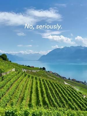 Want to visit the Lavaux Vineyards in Switzerland without having to plan your trip? 🇨🇭 See our Switzerland by Train tour at the 🔗 in our bi0. This is only one stop on our Switzerland by Train tour. On day 6 you'll visit the stunning Lavaux Vineyards, a UNESCO World Heritage site along Lake Geneva. Enjoy a scenic drive through Bern, followed by a wine tasting in Lavaux, where you’ll learn about local winemaking and sample wines paired with Swiss cheeses. It’s a perfect blend of culture, history, and unforgettable views. #vineyard #lavauxvineyards #lavauxswitzerland #switzerland #switzerlandtravel #travelswitzerland #switzerlandtrip #traveltheworld #traveltips #travelinspo