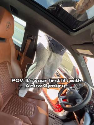 POV: it’s your first lift with a new Gymbro 😂 Have to have a good first impression  lol  #f#fitnesst#trendt#trendingf#funnyg#gymhumorf#funnyvideof#fitfamg#gymbrol#lamborghini