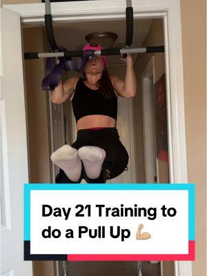 Don’t worry I did more than just those two before this clip 🤣💪🏼 #pullups #pullupjourney #pullupbar #athometraining #audhdwomen #spicybrain #fitandflexible #fitnesstiktok 