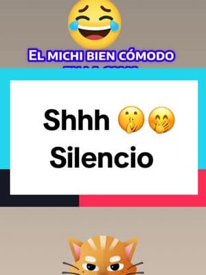 Alguien se adueñó de la cama 😂 #shhh #michi #durmiendo #caren #silencio #michidormilon 