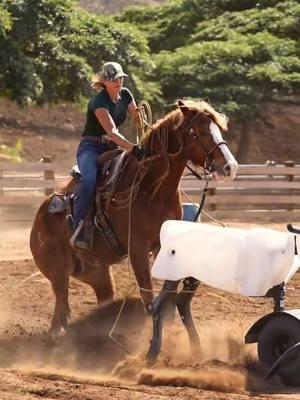 Accidents happen, even when everything seems under control. Social media often shows only the highlight reel, but the truth is, unexpected moments are part of life. Falling, getting up, and trying again is what really matters. It’s not always easy, but it’s the journey that shapes us.  #cowgirllife #horsetraining ##ropehorse #getbackup 