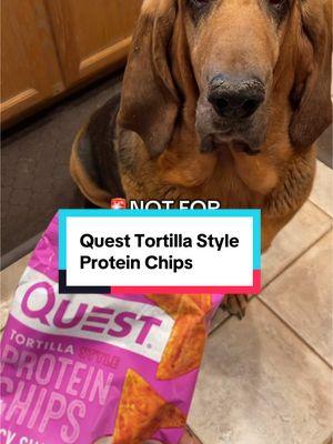 I can’t believe how amazing these taste in my experience! These chips are bursting with flavor! @iHerb#proteinchips #tortillachips #questnutrition#protein #proteinsnack#proteinsnacks#