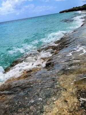 Let times pass. Just breathe…#travel #traveltiktok #fyp #bonaire #tolo #olblue #dive #scubadive #divesite #bonaireisland #vierka0221 #comeseawithvierka #fypシ 