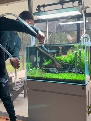 There is no proper way to remove water but this method helps. I’m just using a clear tube #aquascape #aquarium #plantedtank #plantedaquarium #fishtok #plants #garden #fyp #tiktok #fypシ 