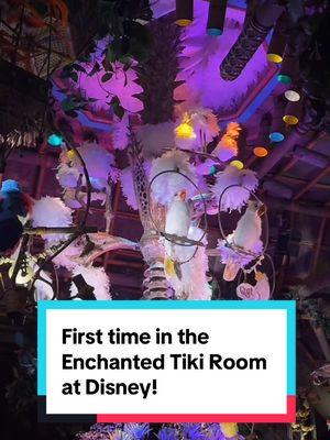 First time doing the Enchanted Tiki Room at Disney, believe it or not! I can’t believe I waited so long! Thanks to special guest Byron from the @For Your Amusement podcast for the fun facts! #disneyland #firsttime #disneyadult #disneyparks #enchantedtikiroom #tikiroom #disneylandtiktok #samanthasouza 