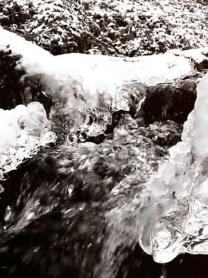 #bliss #darioplevnik #nature #relax #winter #water #affinity #calm #beauty #congruity #peaceful #Love #life @Dario Plevnik 🇭🇷 