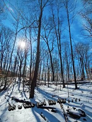 #benholler #homesteading #fypシ゚viral #fypシ #fyp #hobbyfarm #trees #pinemountain #pinemountainky #appalachia #blueridgemountains #letchercounty 