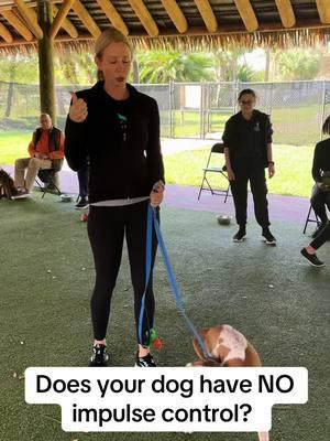 #fyp #DogTraining #dogtrainer #puppysocialization #florida #doggo 