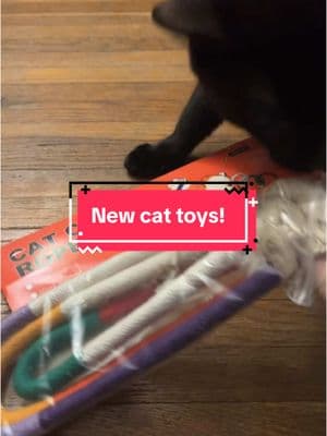 New cat toys!  They love them! It comes with 3 ropes and some catnip! #cattoys #TikTokShop #tts #potaromacattoys #blackcats #binx #orangecats #goose #orangecatsoftiktok #catvideos 