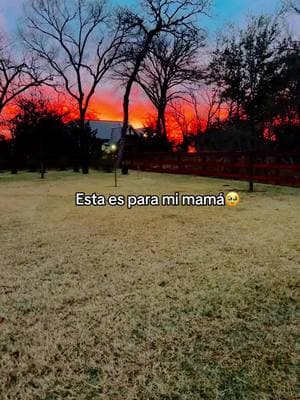 #parati#mamá#dedicaselo#te amo mamá#eres la mejor#🥹