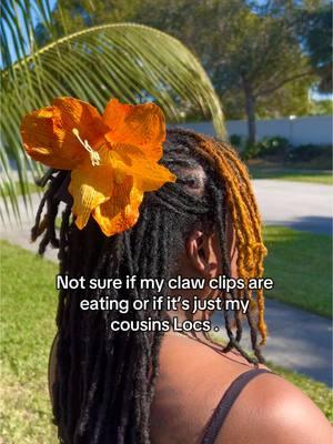 WE ARE IN PEAK SEASON/SNOW SEASON / HOLIDAY SEASON Please continue being patient being that this is PEAK SEASON you will receive your ETA once your package is in TRANSIT. When your package is in TRANSIT you will get an email. Please keep being patient being that this is peak season . Orders are being processed, made, dried, and coated #locs #loc styles #clawclip #wlw #trending #fyp #clawcliphairstyles #clawclipforthicikhair #strawberries #strawberry #kiwi #handmade #orchids #hibiscus #locstyles #longlocs #handmadeaccessories #hairaccessories #jumboclawclip #fruitdecor #fruitjewelry #fruitaccesories #jumboclawclip #xxlclawclips #bigclawclip 